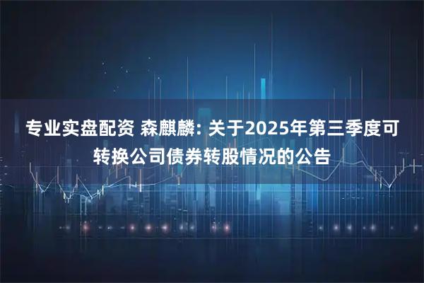 专业实盘配资 森麒麟: 关于2025年第三季度可转换公司债券转股情况的公告